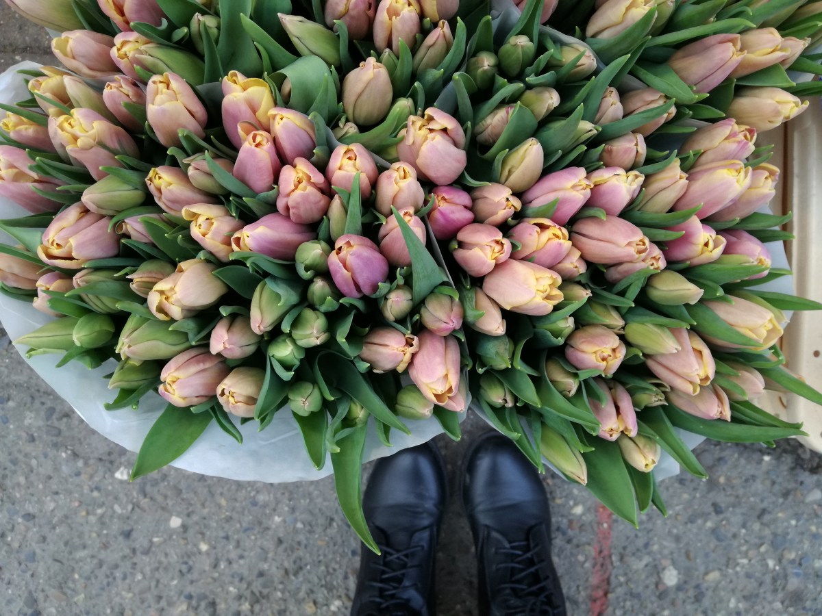 Amsterdam: consigli pratici