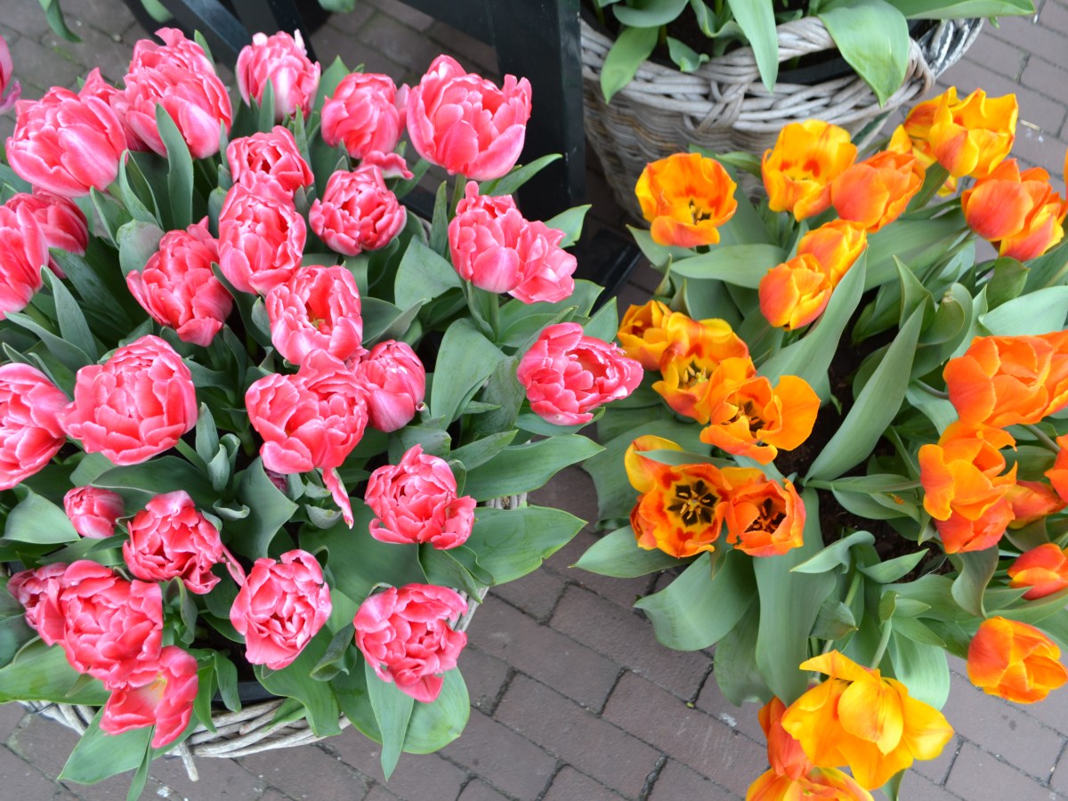 Primavera: 5 mete che vi consiglio (in&nbsp;Europa)