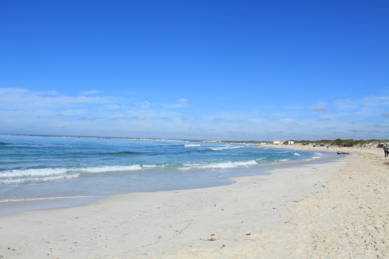 Mallorca_PlatjaDEsTrenc (1)