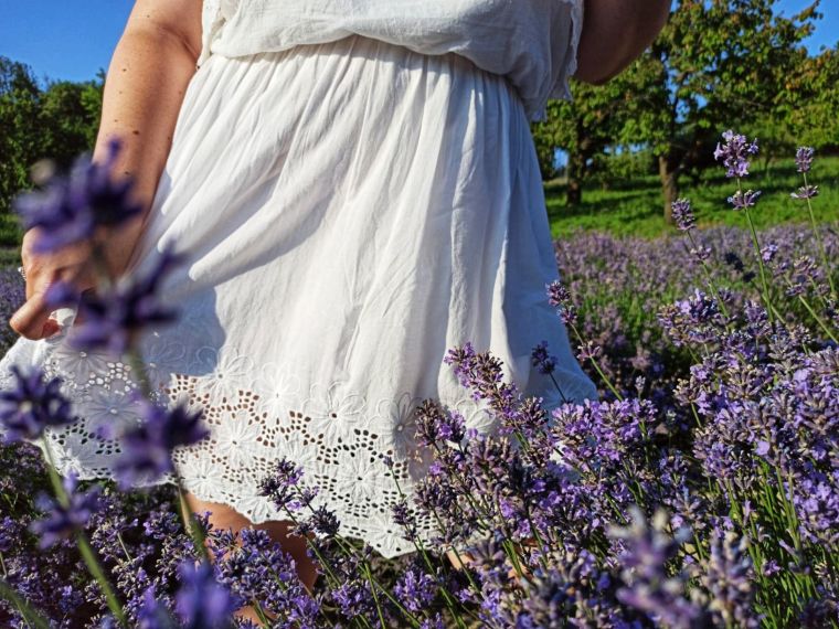 IMG-20200629-WA0030-01