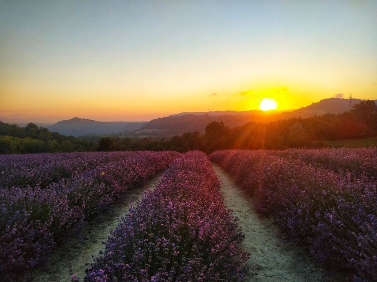 IMG_20200629_210338-01