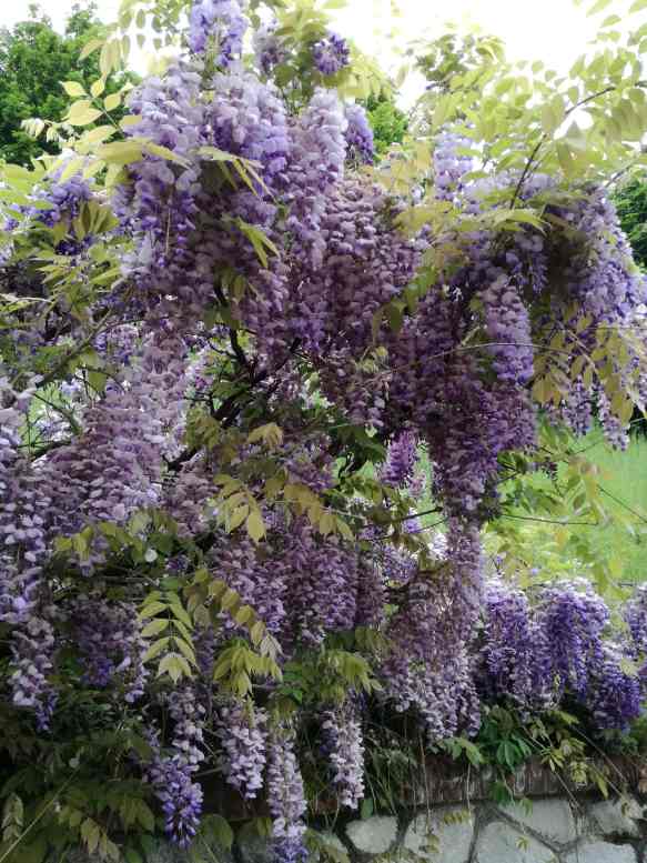 IMG_20180503_133339-min