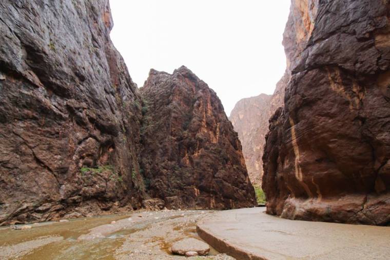 48059113_1050937888411166_11385421430784000_n