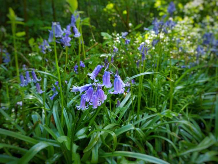 60007568_831880227180181_9222798014475665408_n