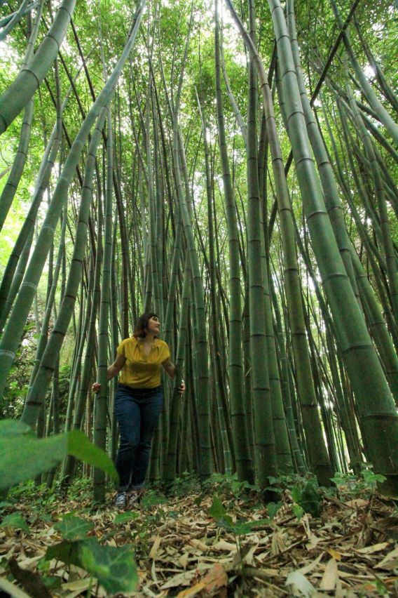 LRM_EXPORT_118826901285828_20190528_101659275