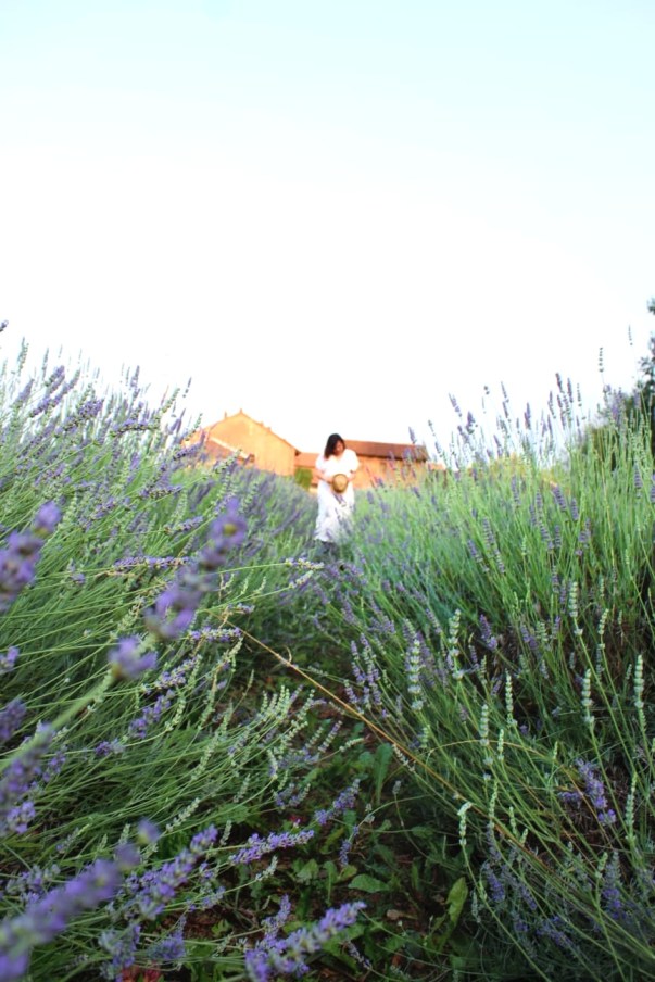 IMG-20190630-WA0022-01