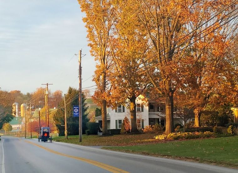 75297814_962460994122103_2446277375957139456_o