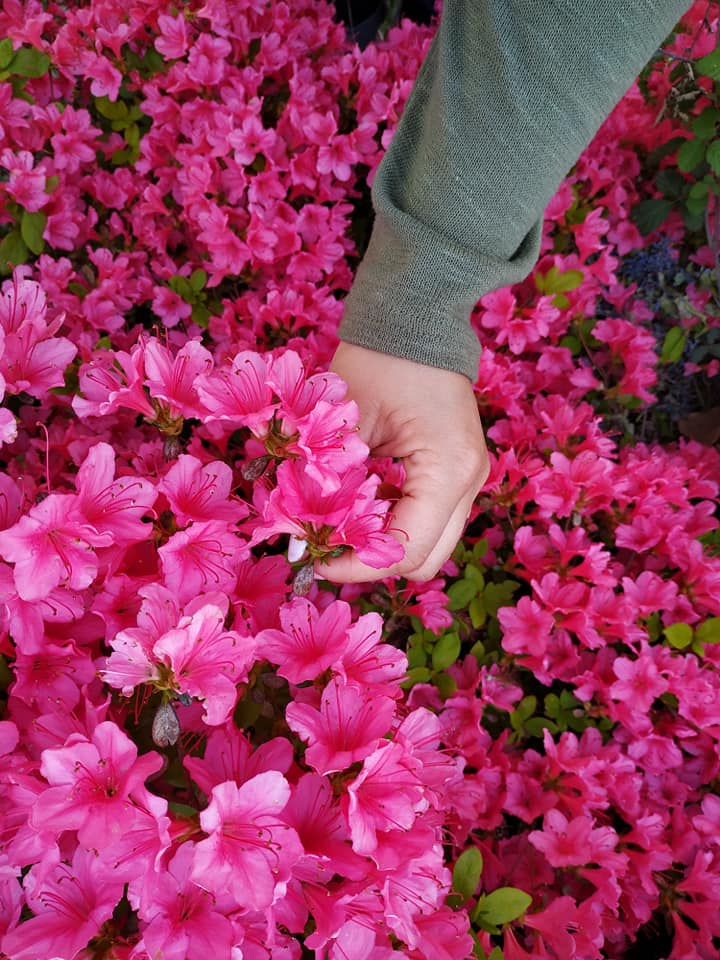 59265512_828468570854680_2540908325965398016_n