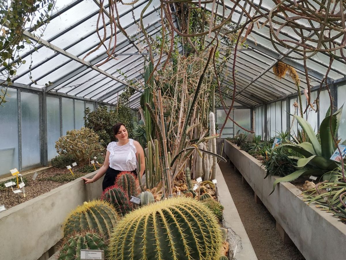 Orto Botanico di Torino | Un’oasi verde in città, con piante e fiori da tutto il&nbsp;mondo