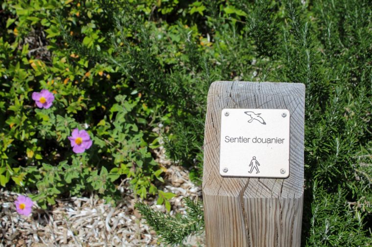 Paletti che segnalano il sentiero