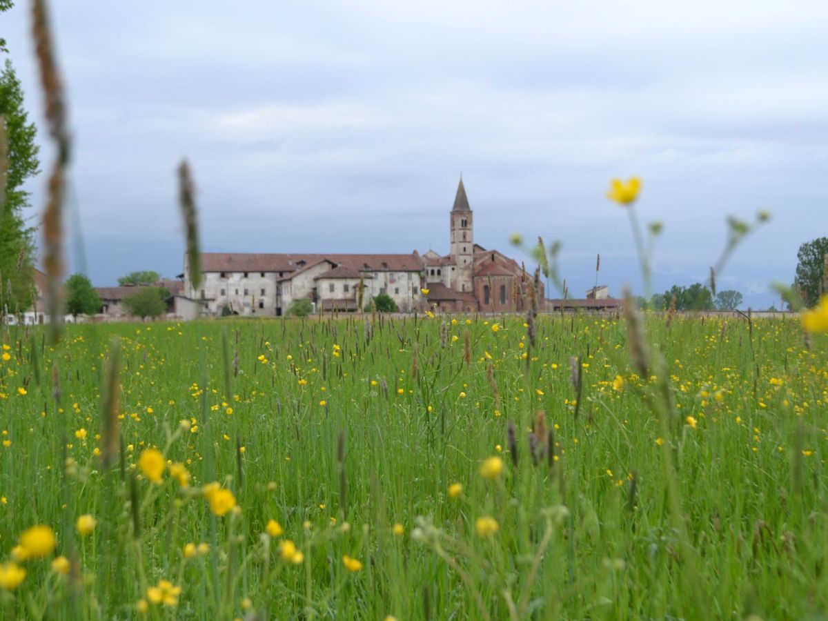 Gite in giornata a un’ora da Torino | Escursioni imperdibili in&nbsp;Piemonte