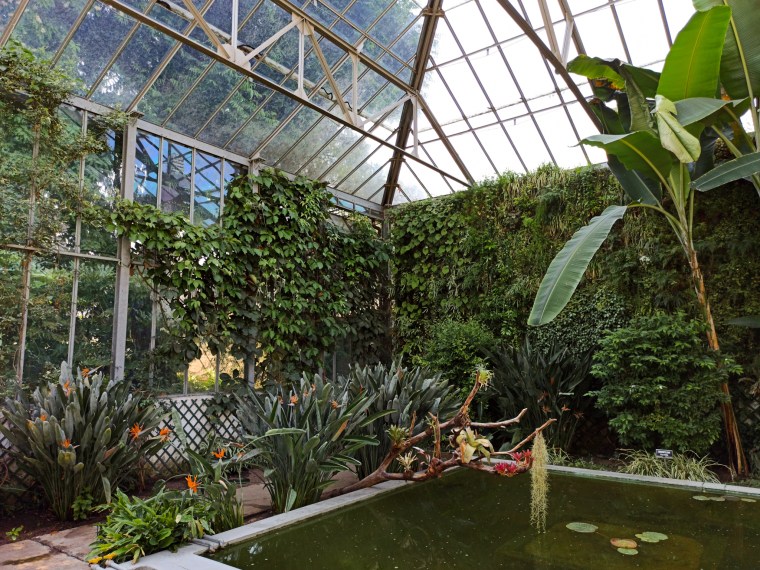 IMG_20200529_161456[1]