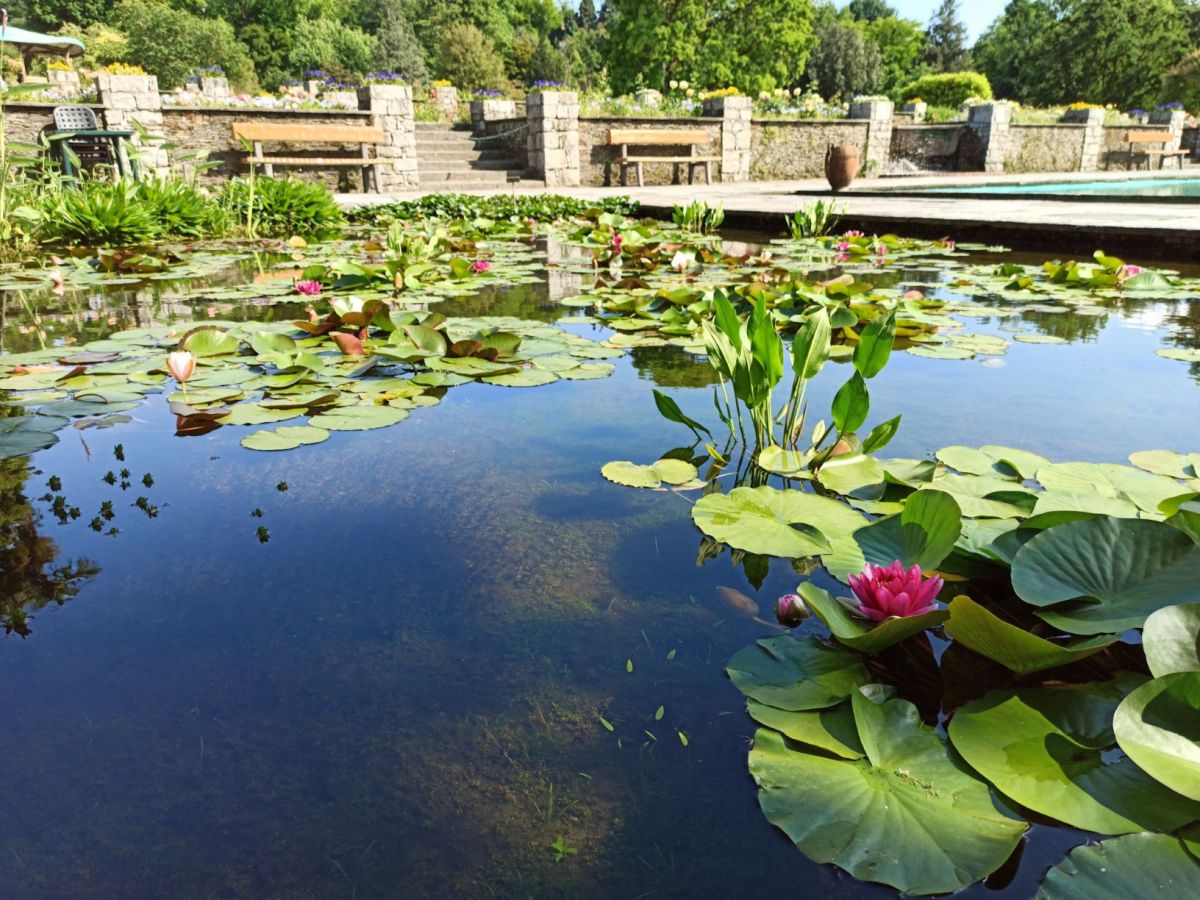 Un giorno a Verbania, affacciata sul Lago Maggiore |Cosa vedere in questa città inesplorata del&nbsp;Piemonte