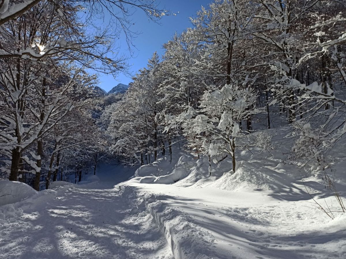 Camminata facile al Rifugio del Pian delle Gorre | Escursione con le ciaspole vicino a&nbsp;Cuneo