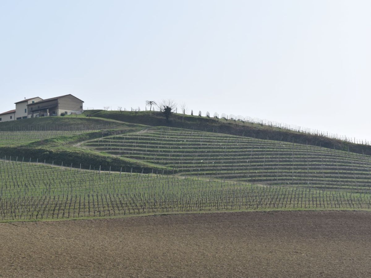 Passeggiate nel Monferrato | Anello e sentieri partendo dal borgo di Cella Monte e pranzo&nbsp;fuori
