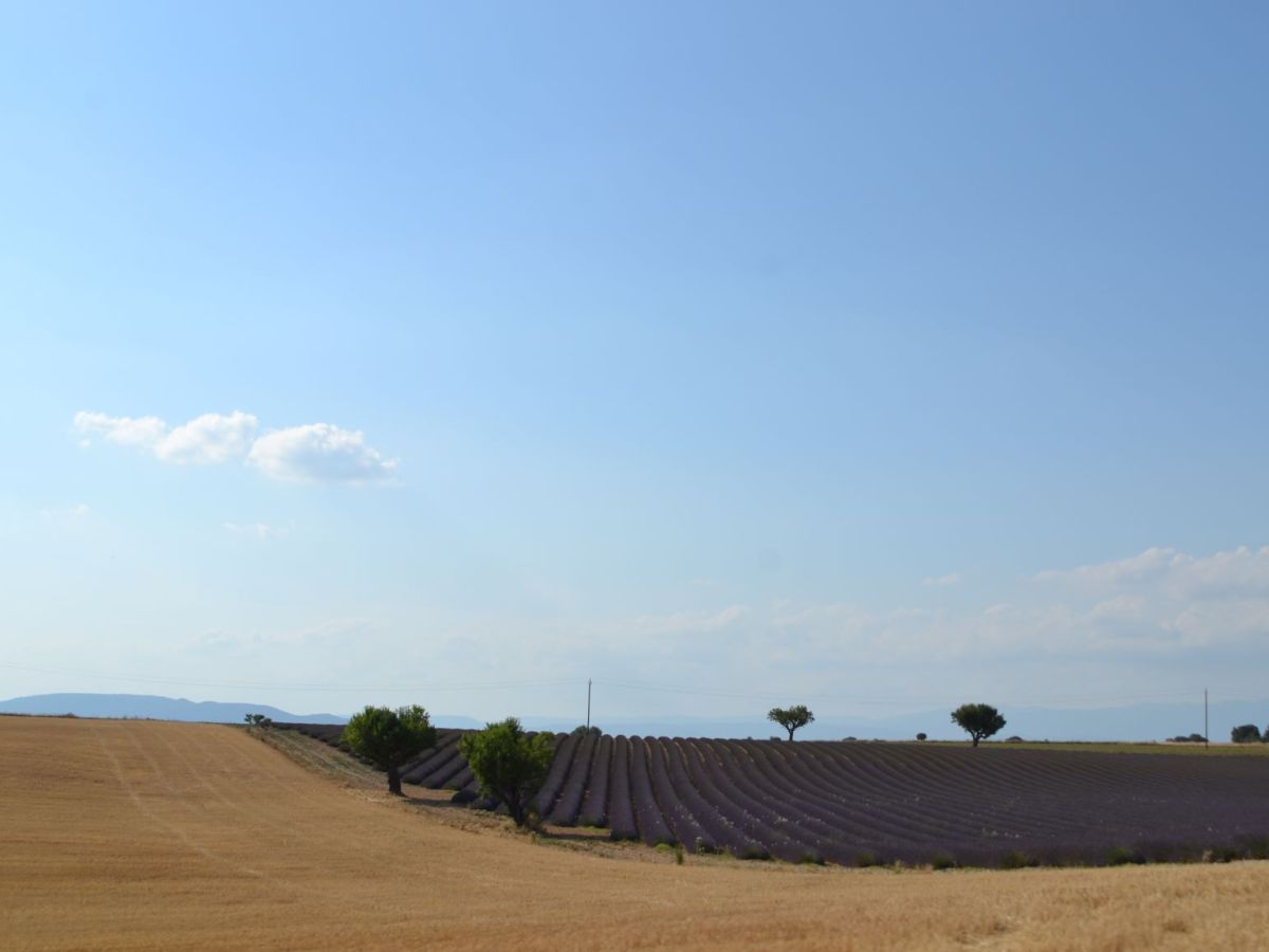 Provenza in auto | 11 luoghi provenzali da non perdere nel sud della&nbsp;Francia