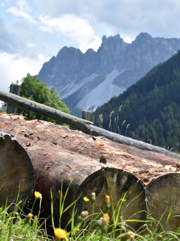 Cosa vedere e cosa fare in Trentino Alto&nbsp;Adige