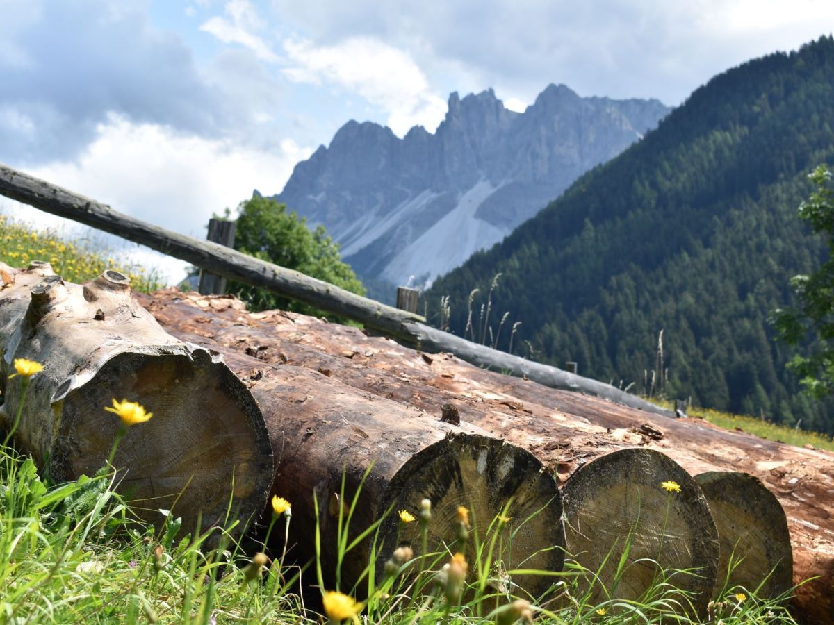 Cosa vedere e cosa fare in Trentino Alto&nbsp;Adige