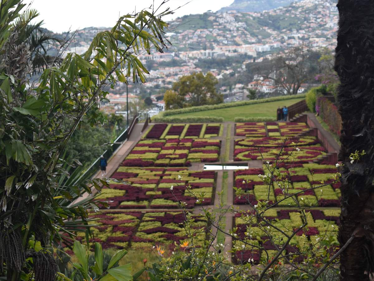 Funchal 2 giorni, cosa fare e cosa vedere nella capitale di&nbsp;Madeira