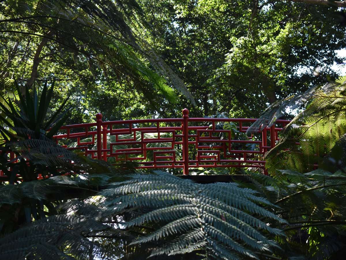 Monte Palace, il giardino tropicale di&nbsp;Madeira