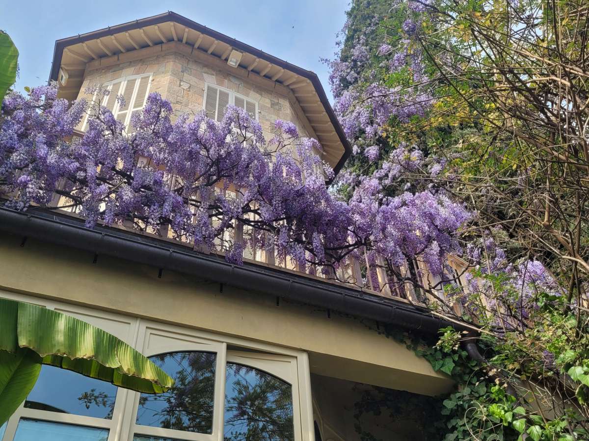 I Giardini di Villa della Pergola ad&nbsp;Alassio