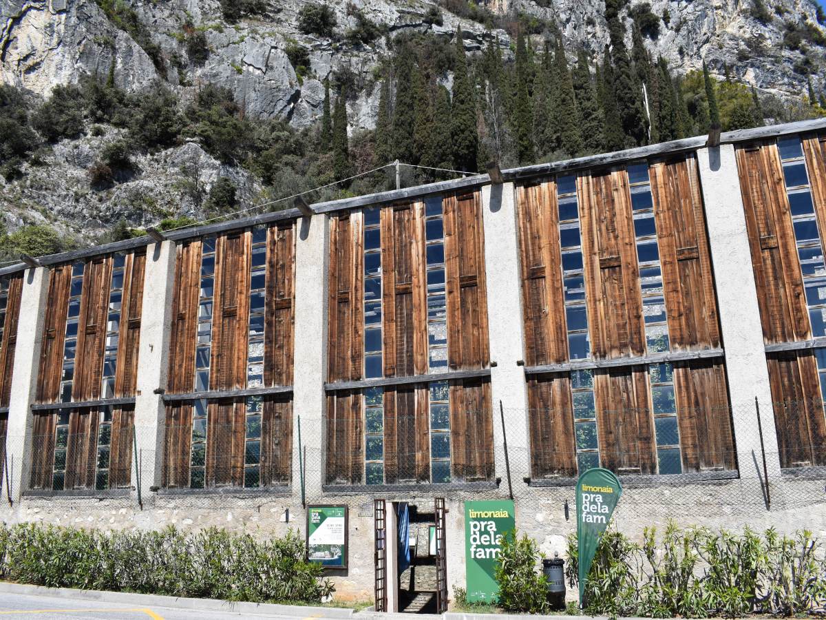 Limonaia Pra dela Fam, visitare un ecomuseo per scoprire la storia dei limoni sul&nbsp;Garda