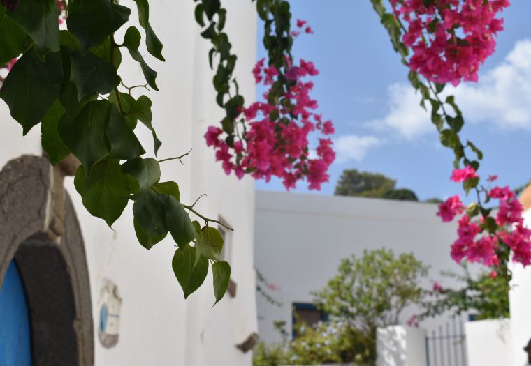 Panarea, l’isola più piccola e mondana delle Eolie: cosa fare e cosa&nbsp;vedere