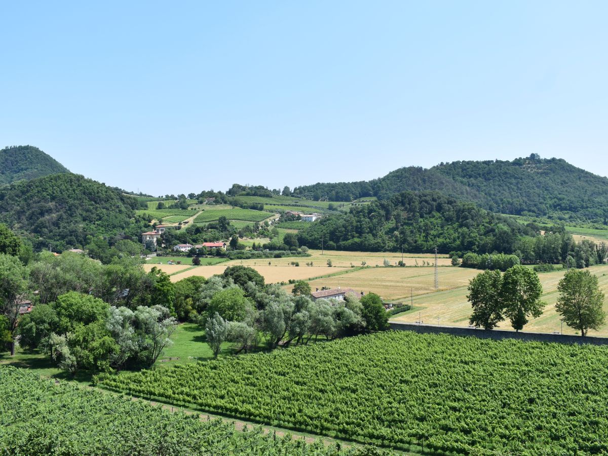 Cosa fare e cosa vedere sui Colli Euganei | Un viaggio da fare vicino a&nbsp;Padova