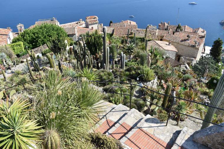 Il Giardino Esotico di Èze in Costa Azzurra: sospeso tra cielo e&nbsp;mare