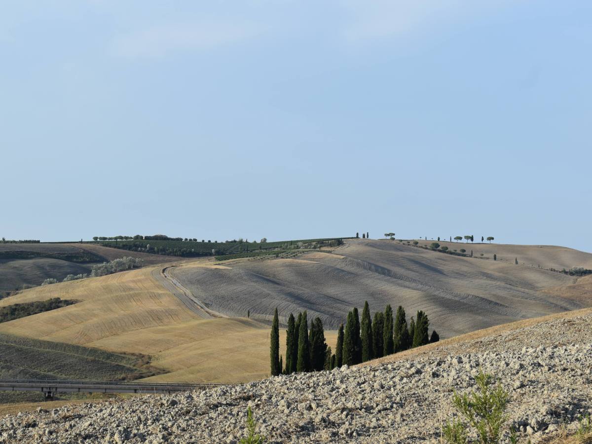 Val d’Orcia in 3 giorni: itinerario tra cipressi, borghi e&nbsp;colline