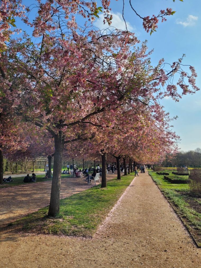 Cosa fare a Torino in primavera: eventi, festival e fioriture da non&nbsp;perdere