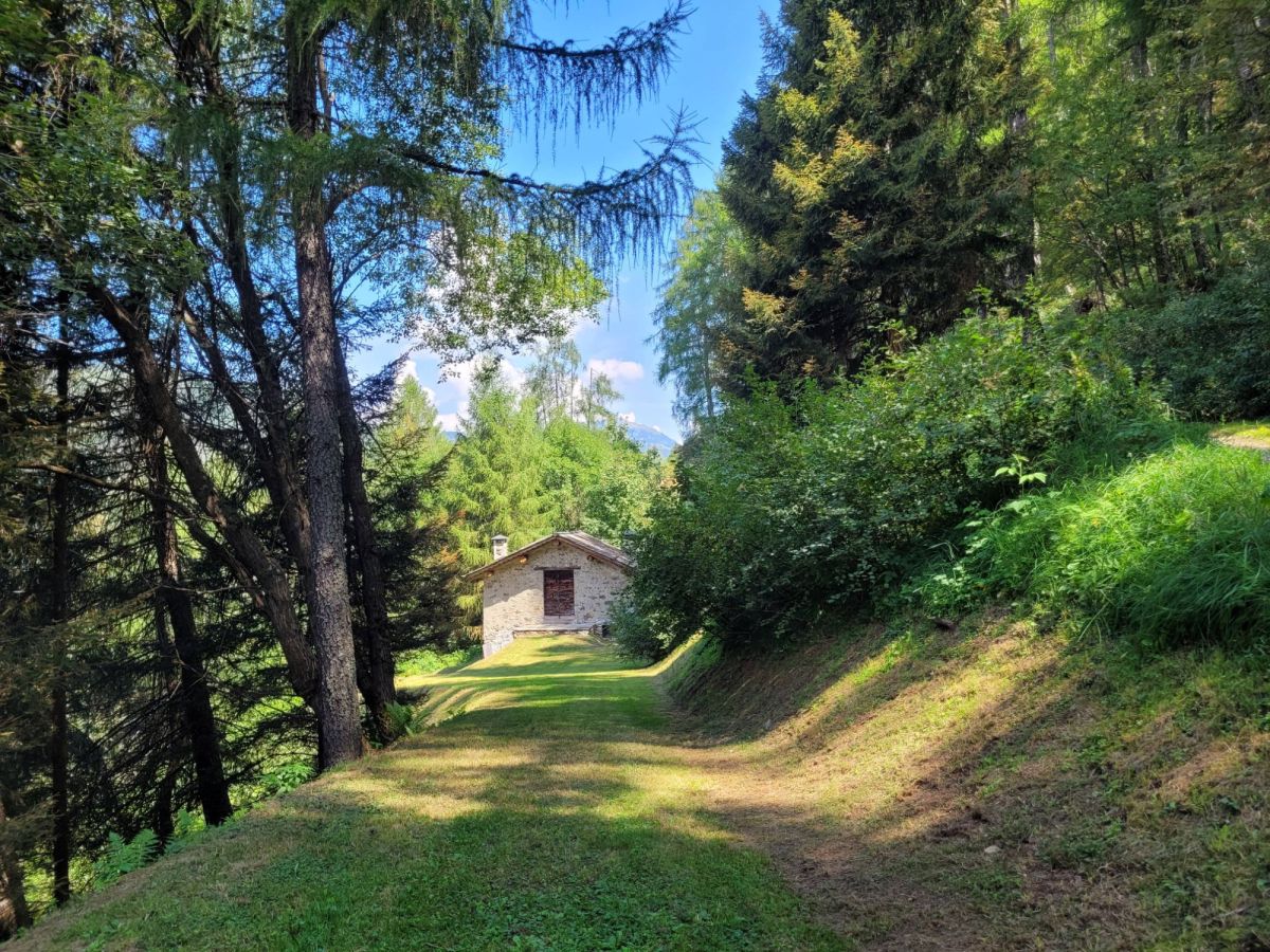 Il sentiero nel bosco gentile ad Aprica, in&nbsp;Valtellina