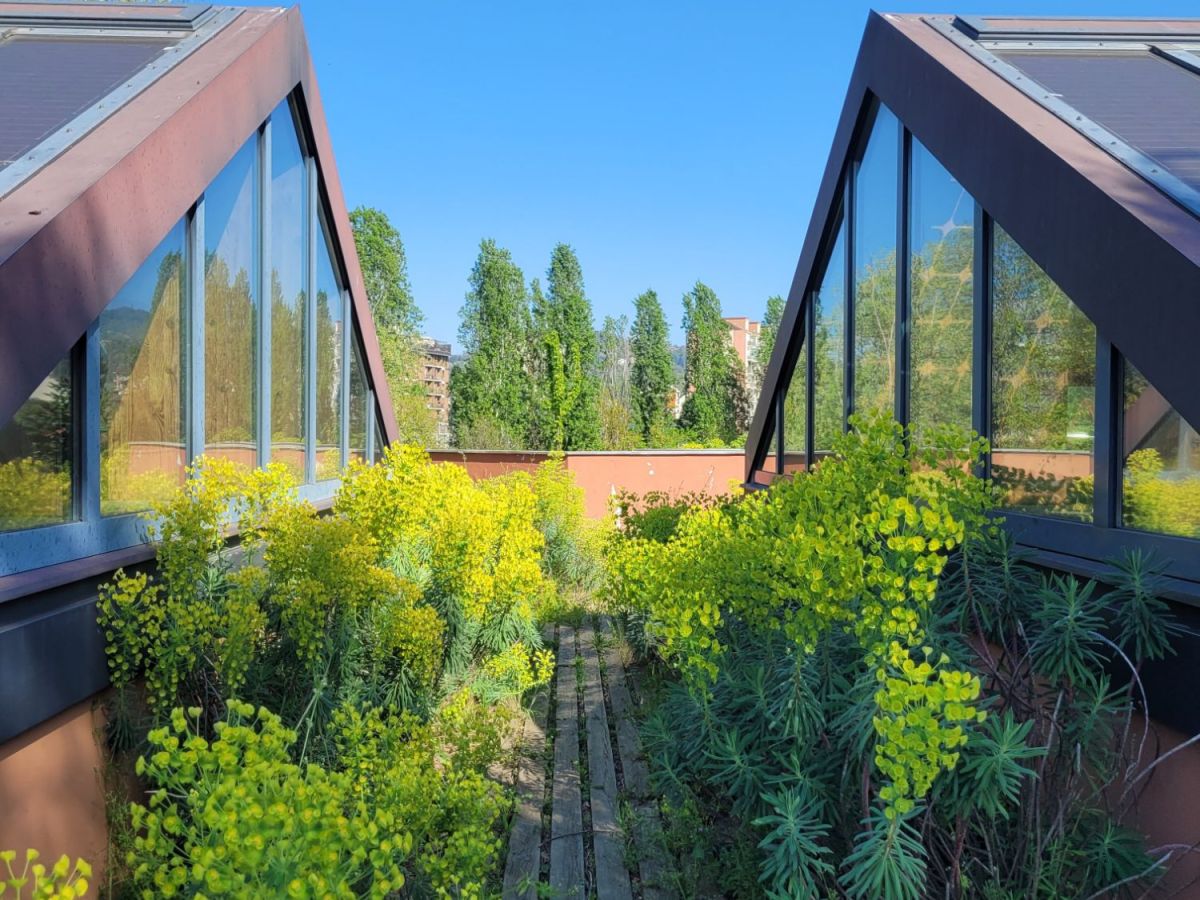 Visitare il Parco Arte Vivente a&nbsp;Torino