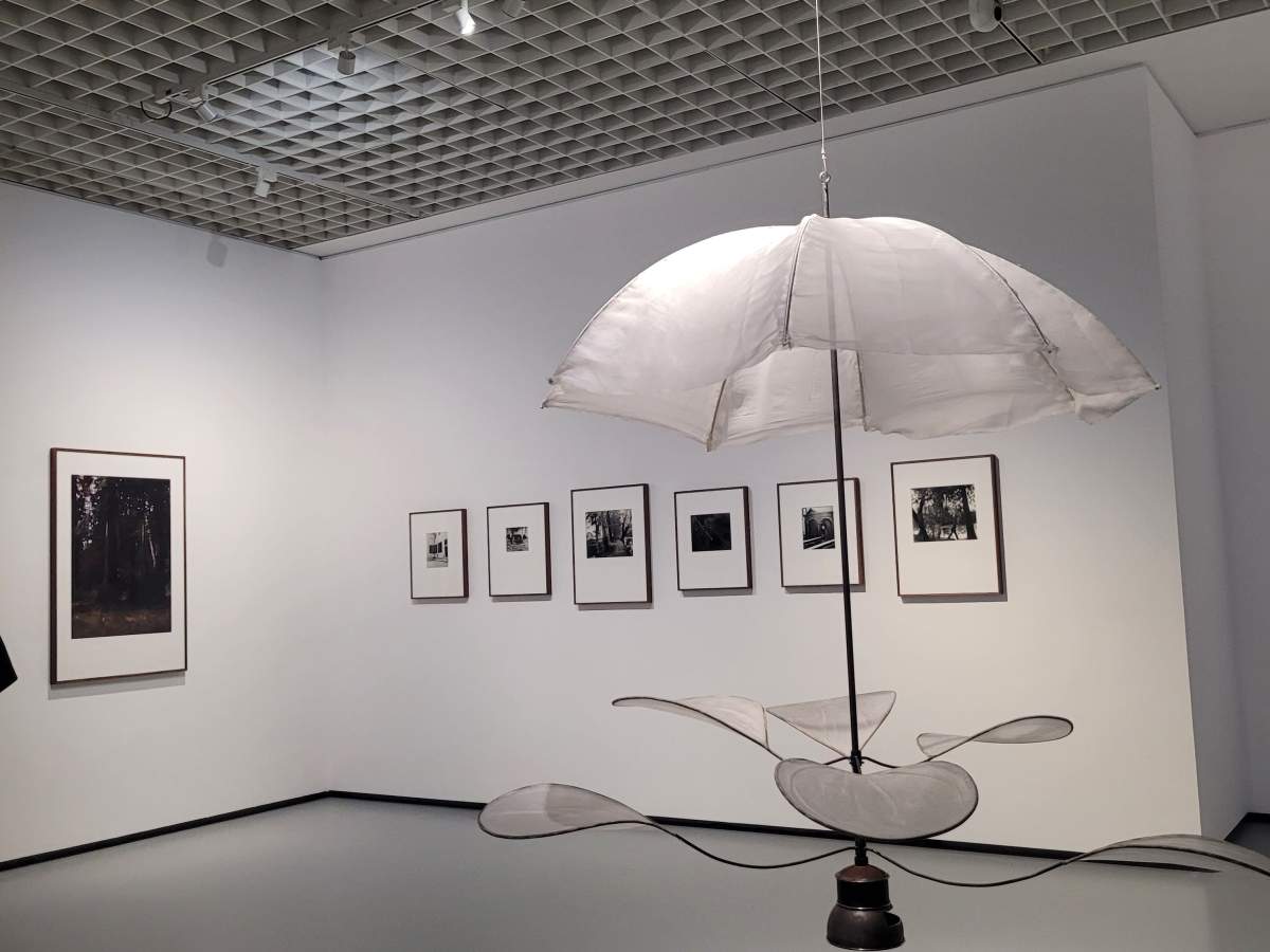 6 mostre a Torino da non perdere in questa primavera&nbsp;2026