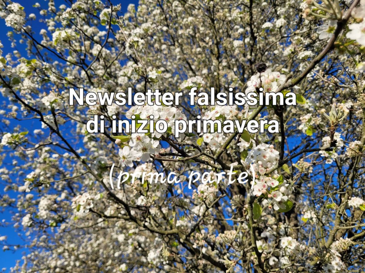 What I do in a month, newsletter falsissima di inizio primavera (parte&nbsp;prima)