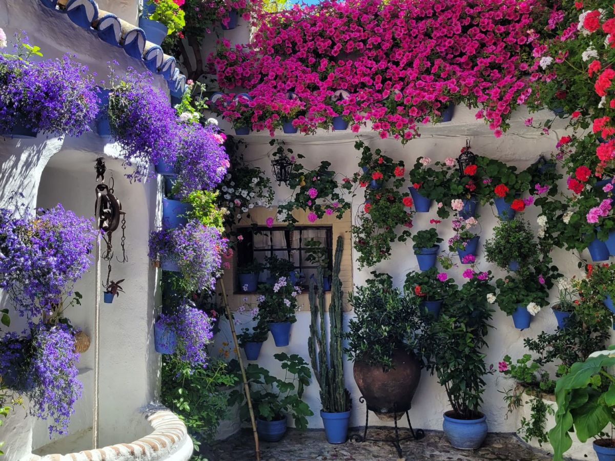 Due giorni a Cordoba in Andalusia, tra patios fioriti e luoghi&nbsp;UNESCO
