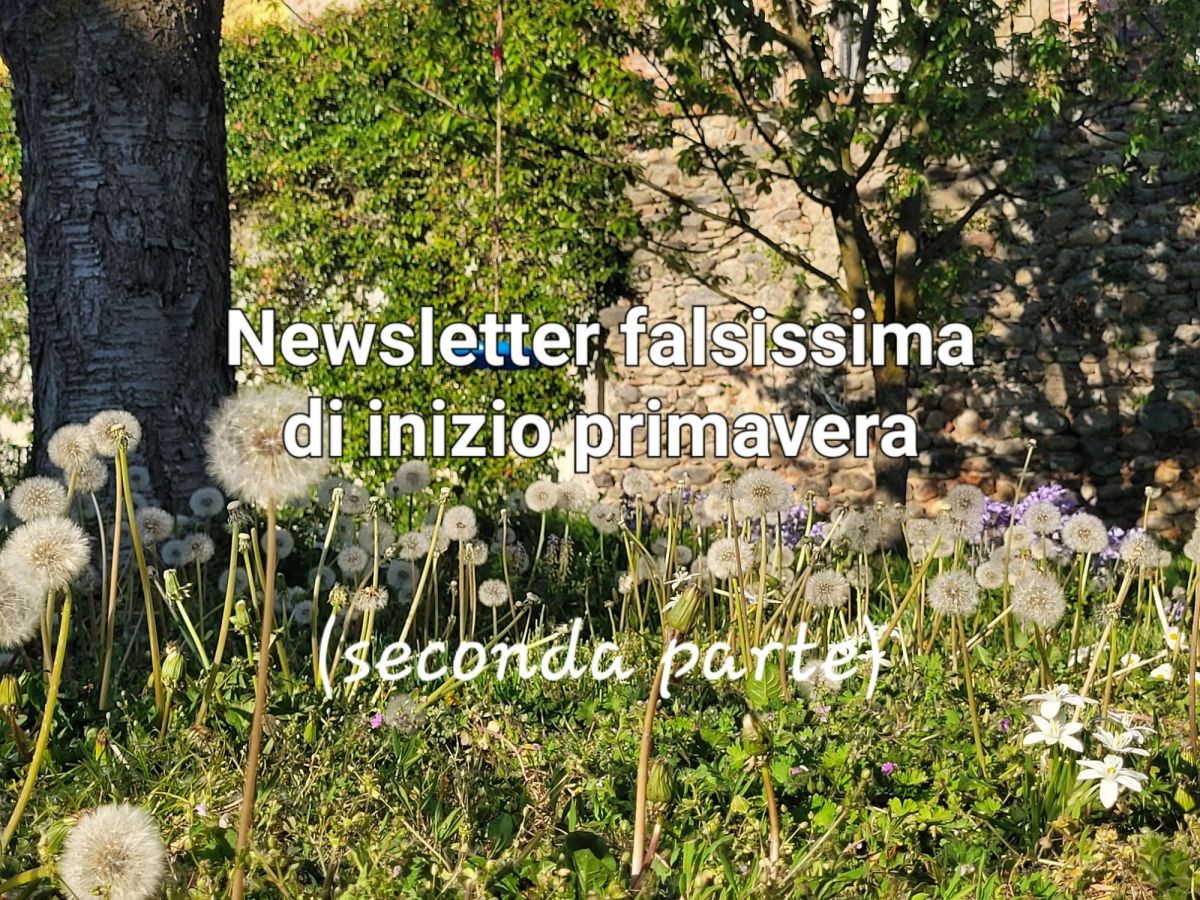 What I do in a month, newsletter falsissima di inizio primavera (parte&nbsp;seconda)
