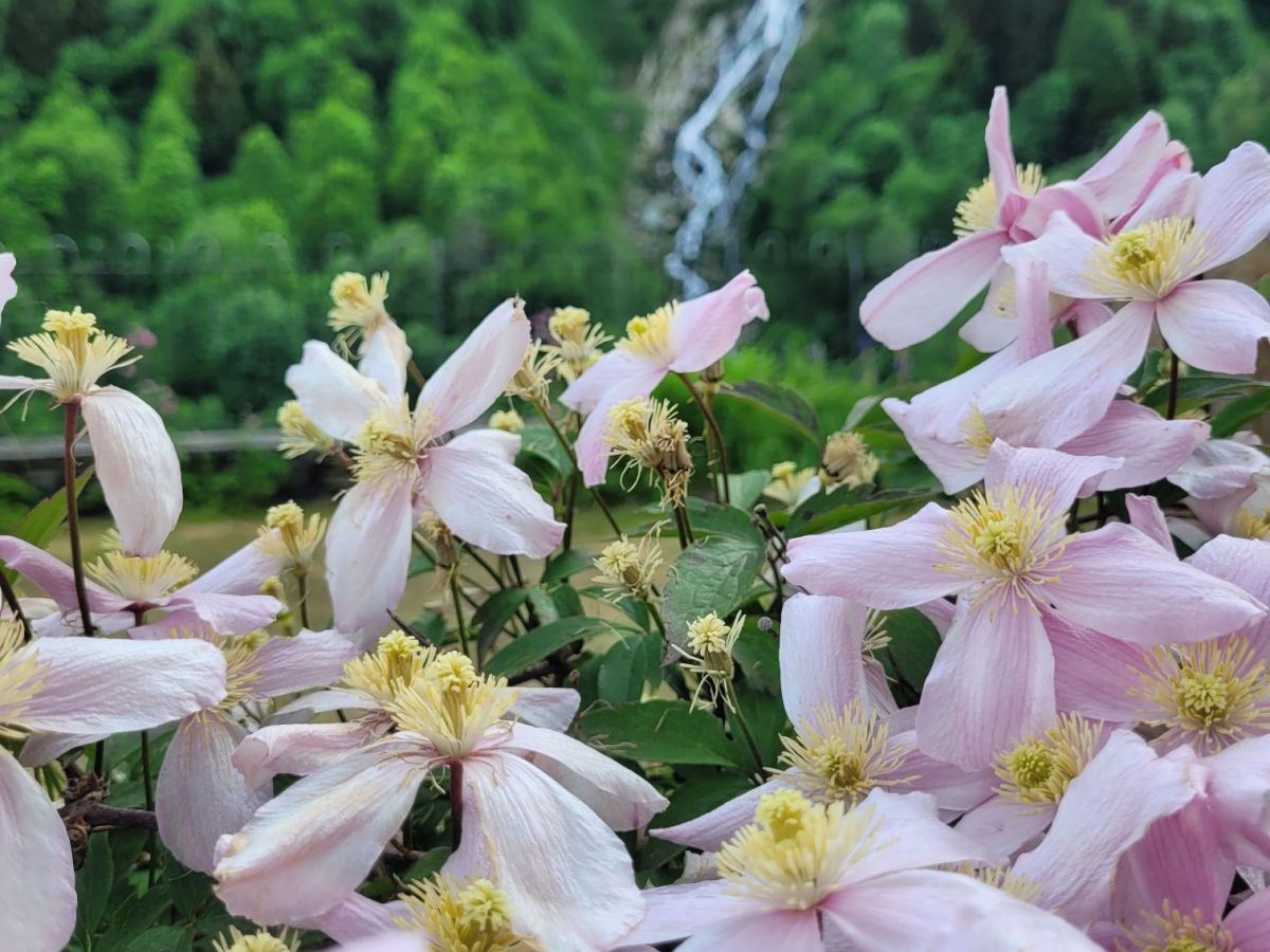 Cosa fare e cosa vedere in Valsesia, la valle ai piedi del Monte&nbsp;Rosa